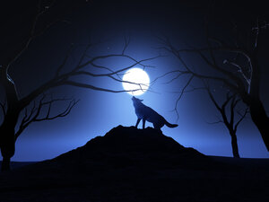 Werwolf